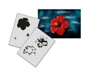 UMR-Design AS-185 Hibiscus Airbrushschablone Step by Step Grösse M